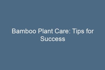 Bamboo Plant Care: Tips for Success