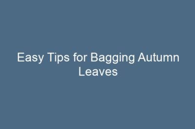 Easy Tips for Bagging Autumn Leaves