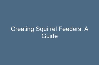 Creating Squirrel Feeders: A Guide