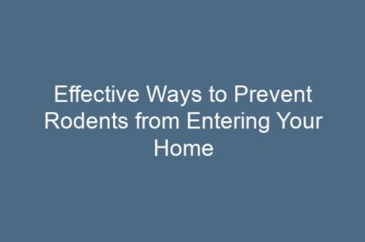 Effective Ways to Prevent Rodents from Entering Your Home