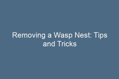 Removing a Wasp Nest: Tips and Tricks