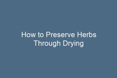 How to Preserve Herbs Through Drying