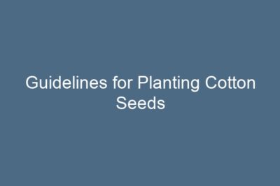 Guidelines for Planting Cotton Seeds