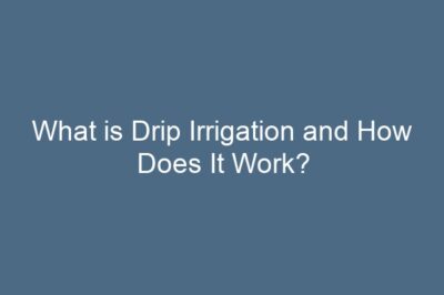What is Drip Irrigation and How Does It Work?