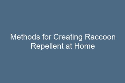 Methods for Creating Raccoon Repellent at Home